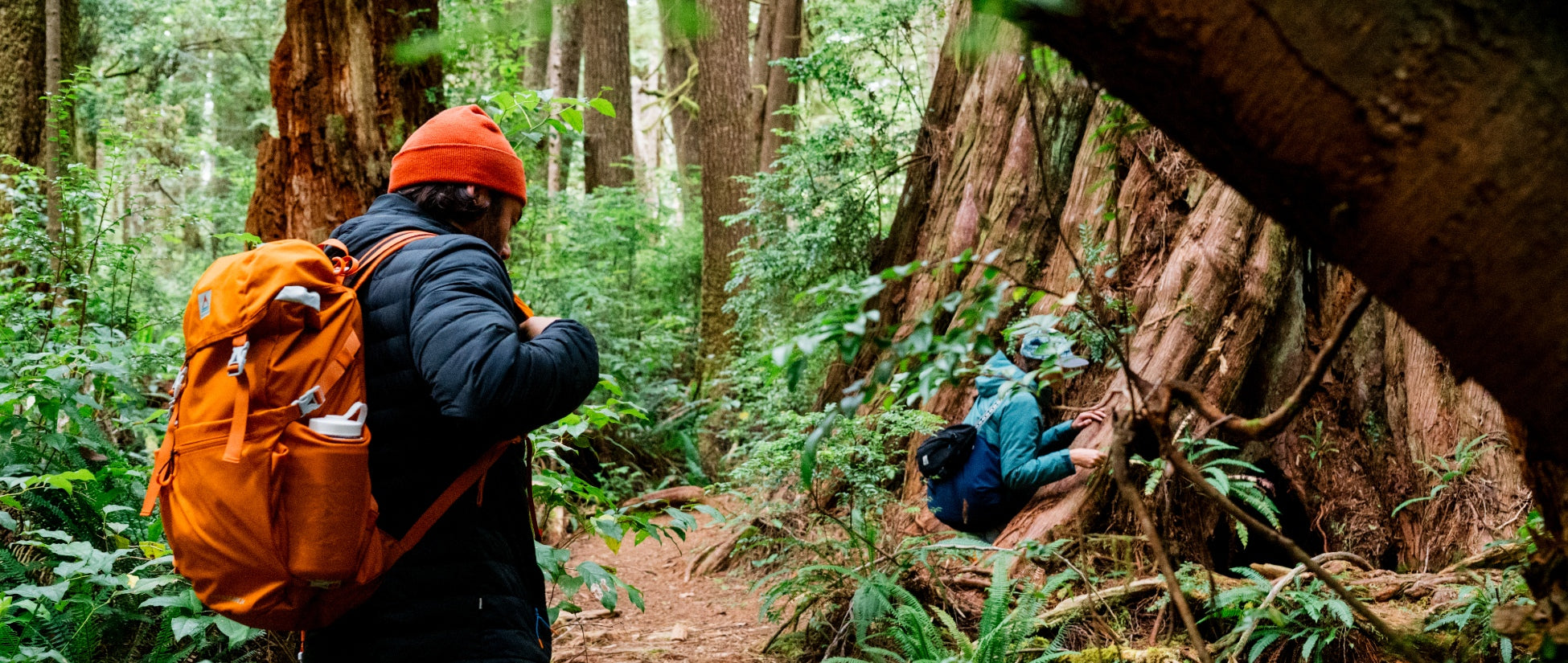 Two friends walking through the forest wearing backpacks