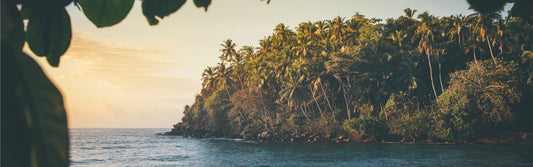 Chasing The Salt Water Trail