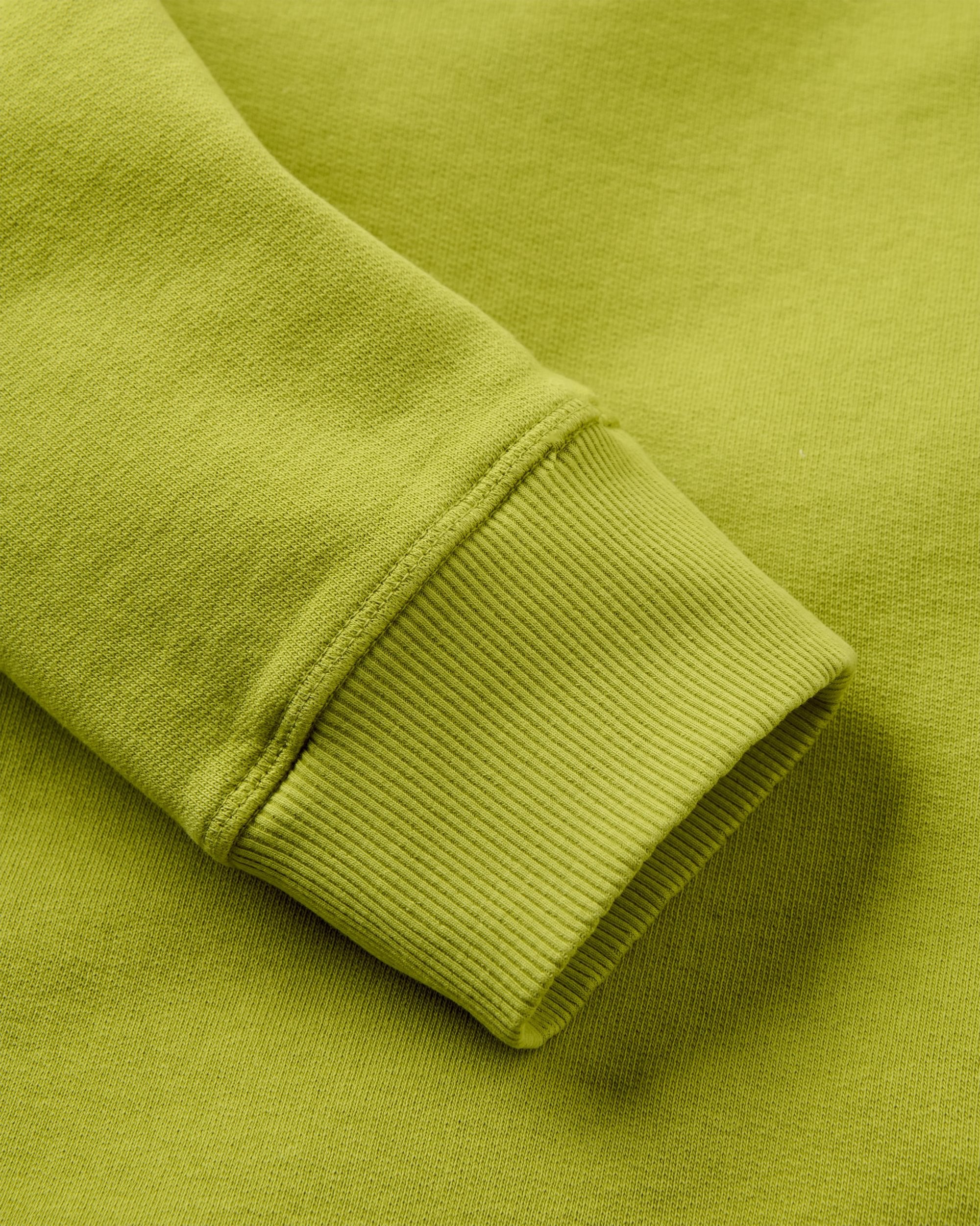 Explore Sweatshirt - Tea Green - Flatlay
