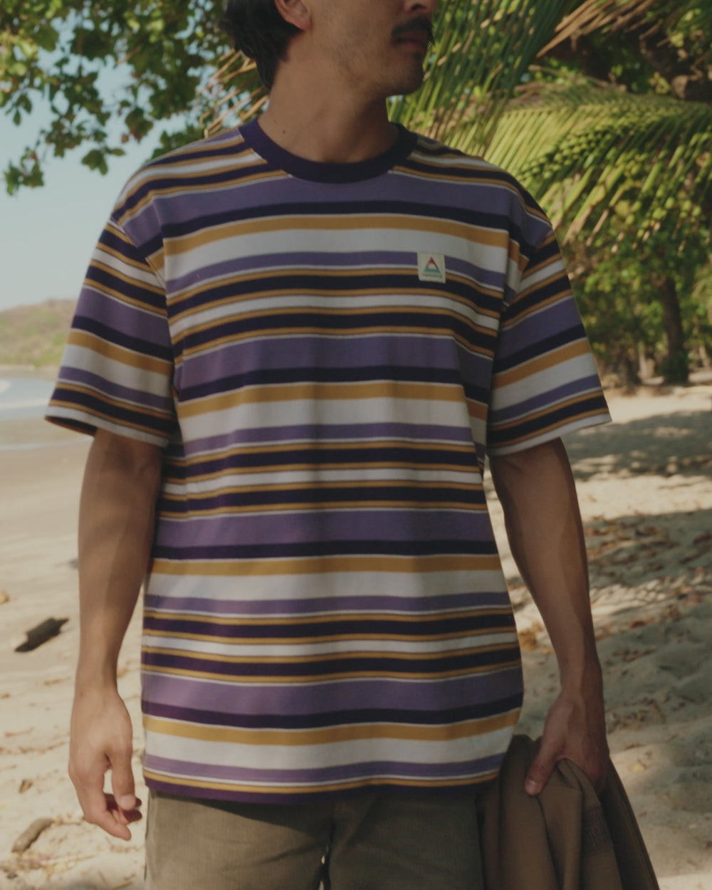 Wild Pine Stripe T-Shirt Heather Multi Stripe – Passenger